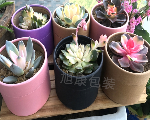 防水環(huán)保紙筒